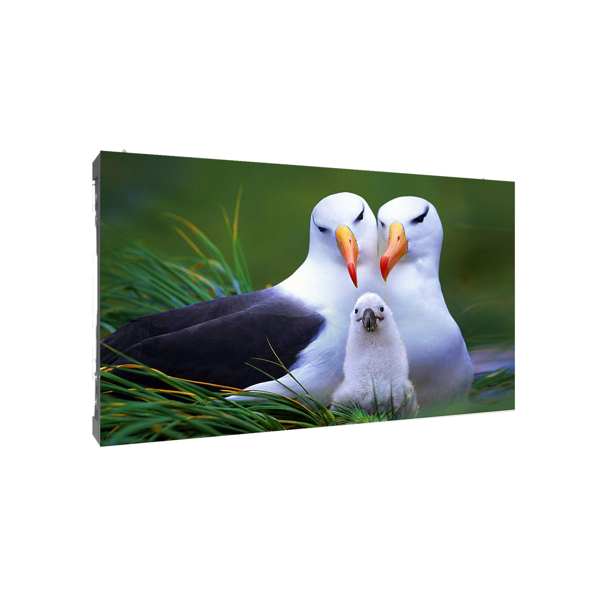 DAHUA PHSA1.9-EH/PHSA1.9-SH Indoor Fine Pixel LED