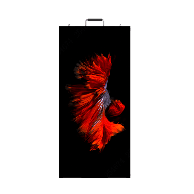 Dahua PHROA5.9-SH Outdoor Rental LED Display, IP65 Die-Cast Cabinet