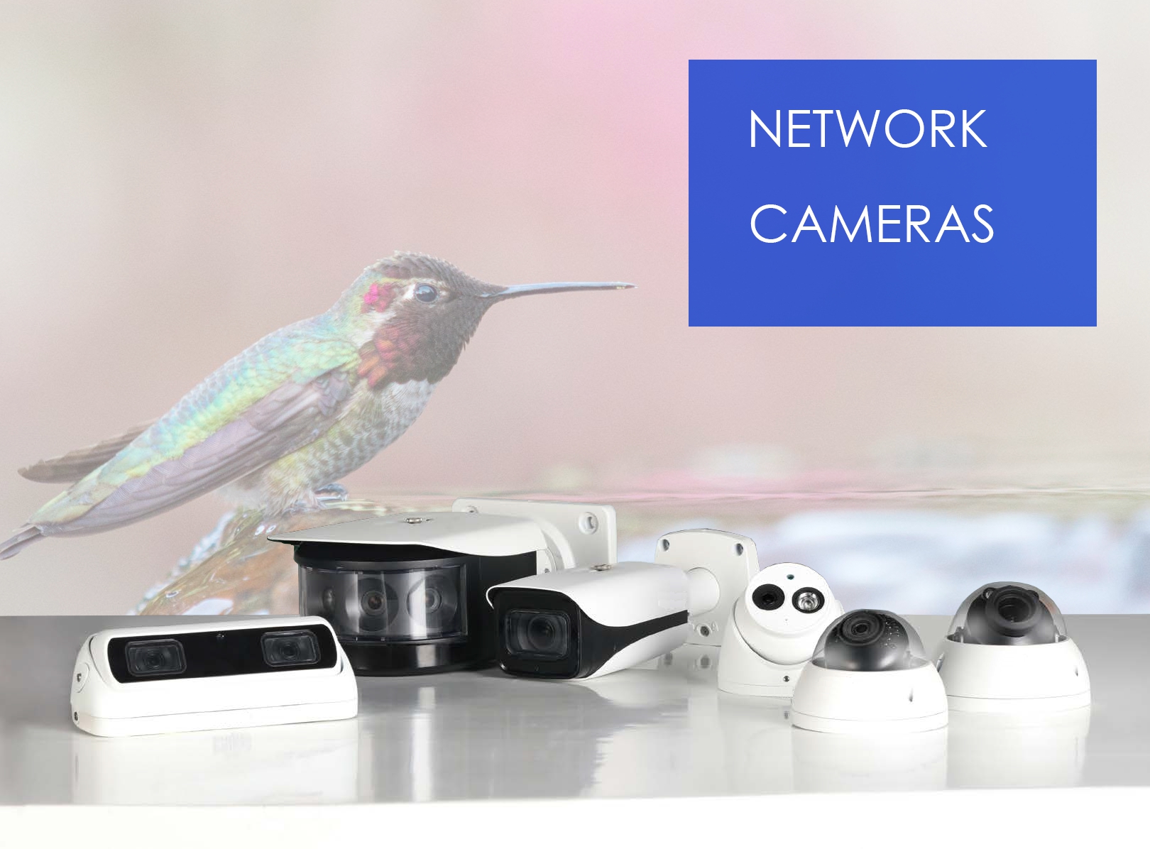 Network Camera