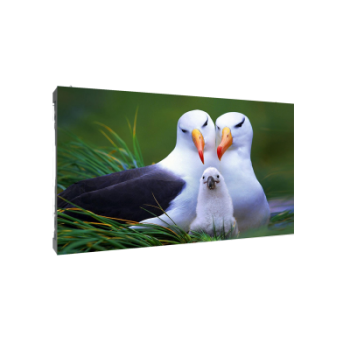 DAHUA PHSA1.6-EH/PHSA1.6-SH Indoor Fine Pixel LED