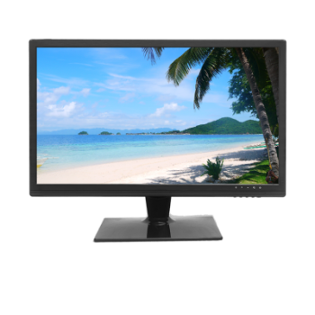 DAHUA DHL19-F600 19.5'' Monitor