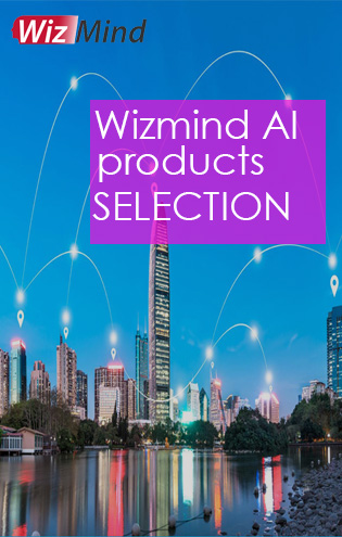 wizmind AI products selelction